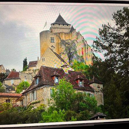 Castelnaud Vue Lejlighed Eksteriør billede
